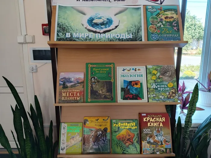 IMG_20250813_153927_973@-435621224