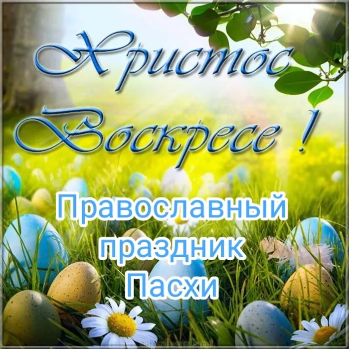 IMG_20220419_110407 (1).jpg