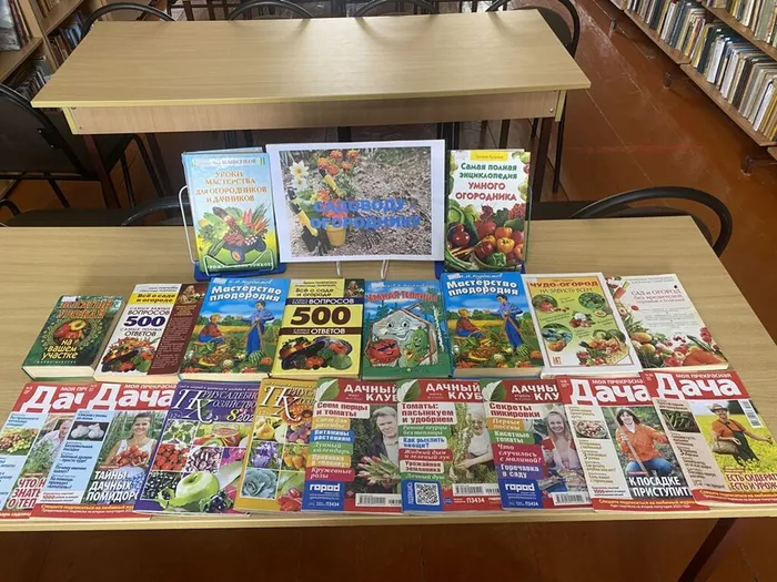 image-16-06-24-02-11