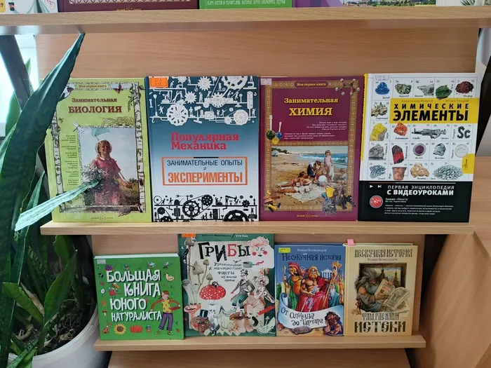 IMG_20250403_111932_608