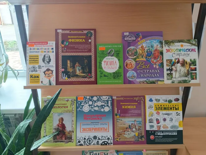 IMG_20250403_111923_459